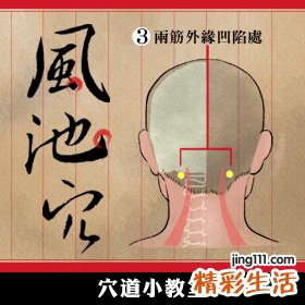 【图解】忙到头昏脑胀？风池穴来舒缓