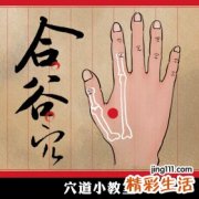 【图解】止痛良穴：合谷穴