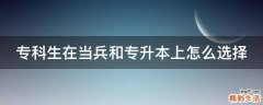 专科生在当兵和专升本上怎么选择