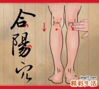 【图解】逛街逛到脚痠 就按合阳穴