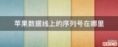 苹果数据线上的序列号在哪里