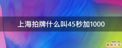 上海拍牌什么叫45秒加1000
