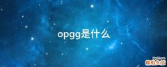 opgg是什么