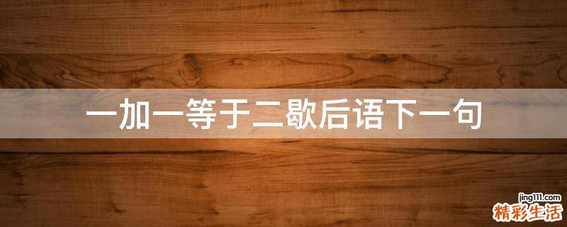 一加一等于二歇后语下一句