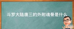 斗罗大陆唐三的外附魂骨是什么