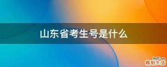 山东省考生号是什么