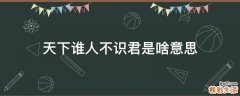 天下谁人不识君是啥意思