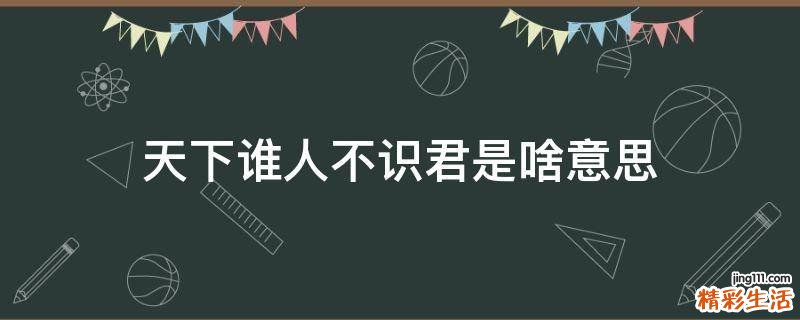 天下谁人不识君是啥意思