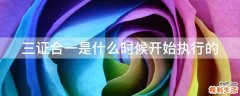 三证合一是什么时候开始执行的
