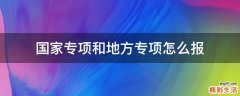 国家专项和地方专项怎么报