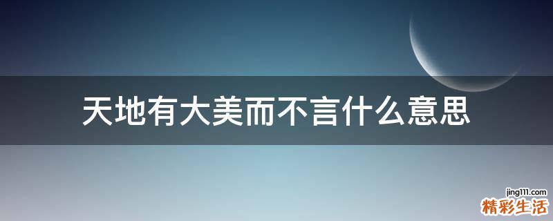 天地有大美而不言什么意思