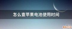 怎么查苹果电池使用时间