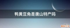 鸭黄豆角是唐山特产吗