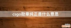 csgo勋章纯正是什么意思