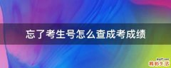 忘了考生号怎么查成考成绩