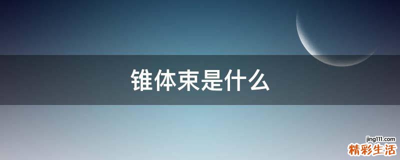 锥体束是什么
