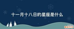 十一月十八日的星座是什么
