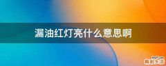 漏油红灯亮什么意思啊
