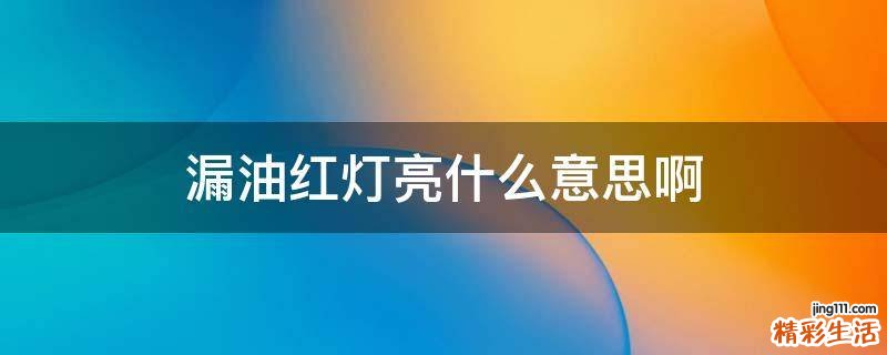 漏油红灯亮什么意思啊