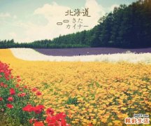 3 四大肌肤健身法自然又美丽