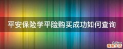 平安保险学平险购买成功如何查询
