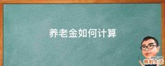 养老金如何计算