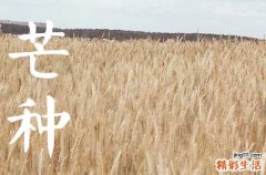 芒种节气吃什么传统食物 芒种吃什么民间传统食物