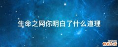 生命之网你明白了什么道理