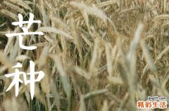 芒种发朋友圈说说 芒种发朋友圈的话
