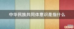 中华民族共同体意识是指什么