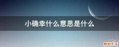 小确幸什么意思是什么