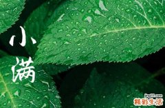 今年啥时候小满2023
