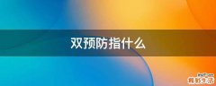 双预防指什么