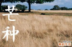 2023芒种是哪一天什么时间 距离2023芒种节气还有多少天