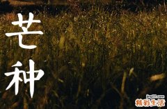 2023芒种哪一天 2023芒种是几月几日