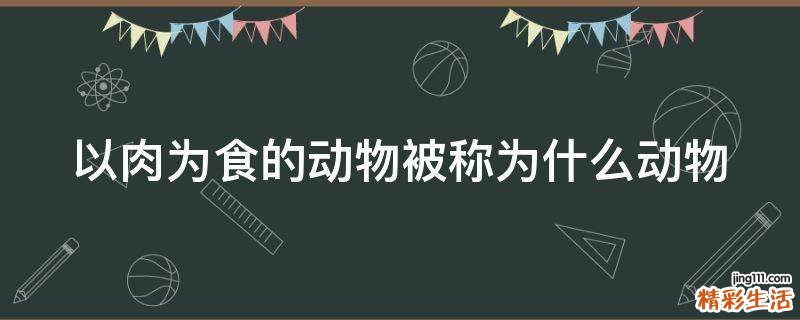 以肉为食的动物被称为什么动物