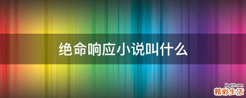 绝命响应小说叫什么