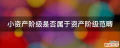 小资产阶级是否属于资产阶级范畴