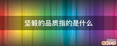 坚毅的品质指的是什么