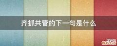 齐抓共管的下一句是什么