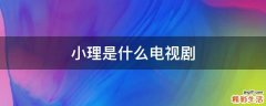 小理是什么电视剧