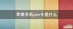 苹果手机sim卡是什么