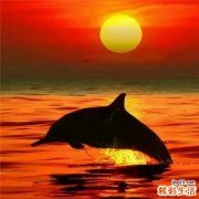 毛孔粗大怎么办？小编为你来支招