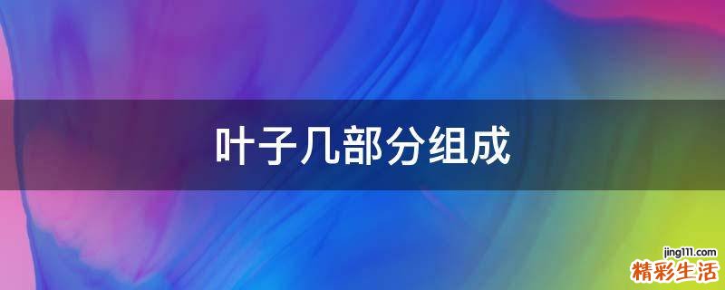 叶子几部分组成
