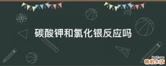 碳酸钾和氯化银反应吗