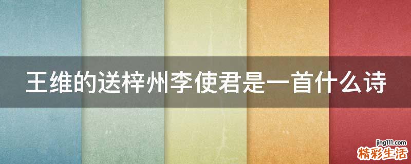 王维的送梓州李使君是一首什么诗