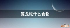 翼龙吃什么食物