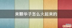 来颗华子怎么火起来的