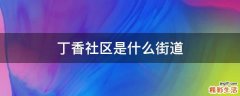 丁香社区是什么街道