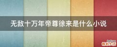 无敌十万年帝尊徐来是什么小说